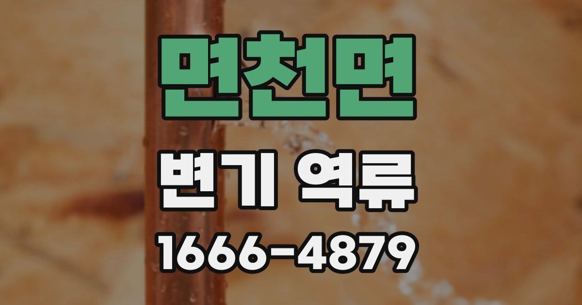 면천면 변기 역류