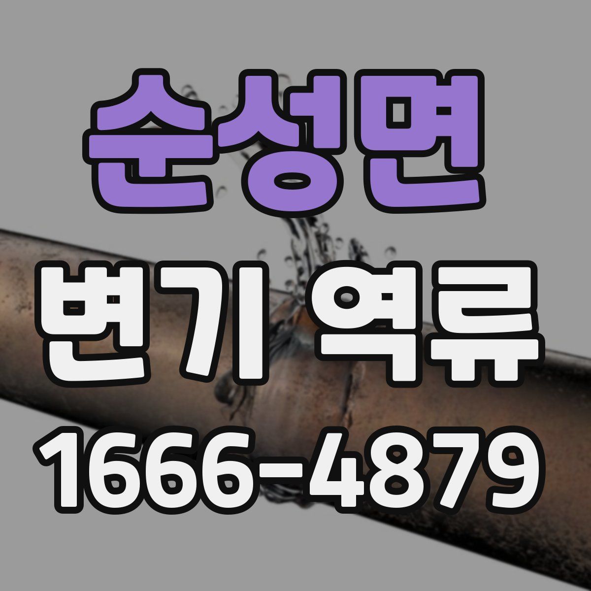 순성면 변기 역류