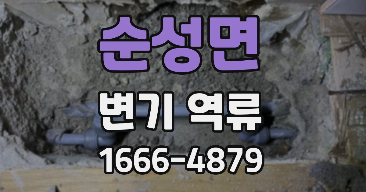 순성면 변기 역류