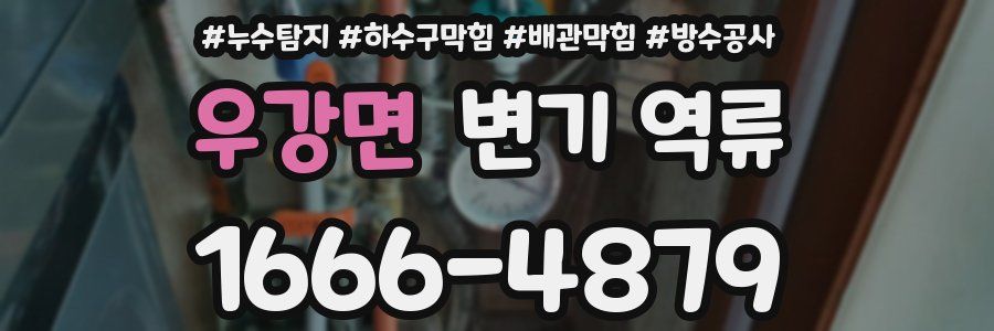 우강면 변기 역류