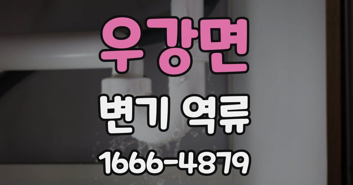 우강면 변기 역류