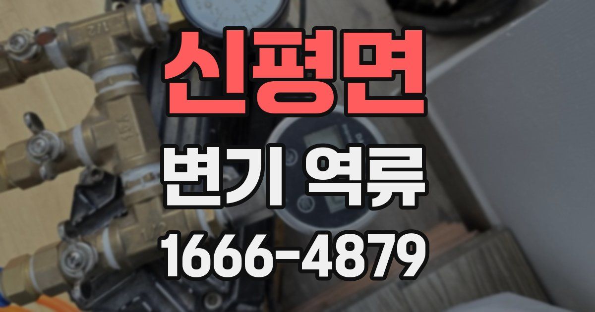 신평면 변기 역류