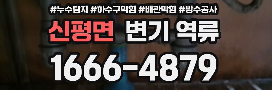 신평면 변기 역류