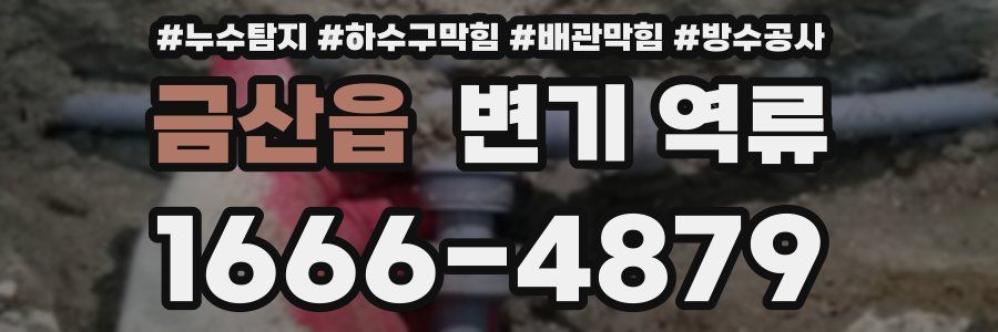 금산읍 변기 역류