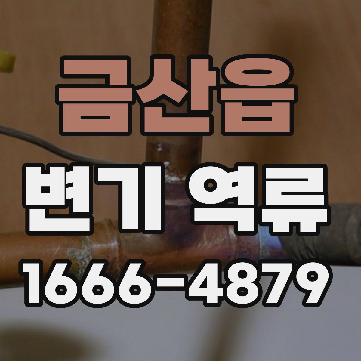 금산읍 변기 역류