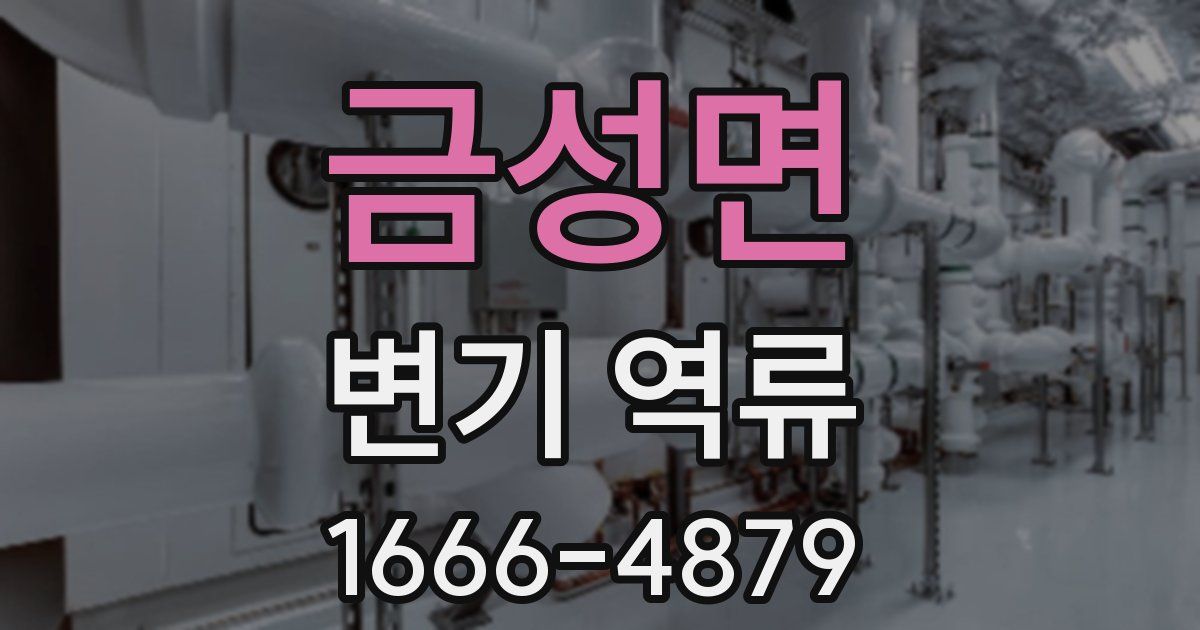금성면 변기 역류