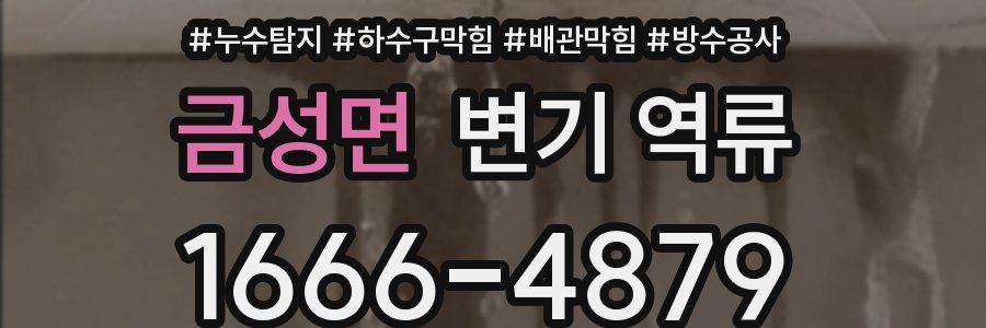 금성면 변기 역류