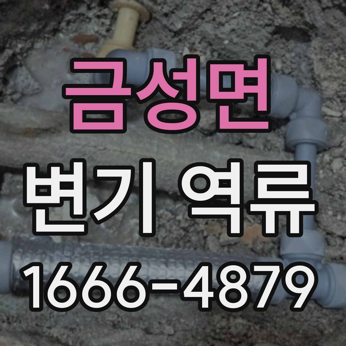 금성면 변기 역류