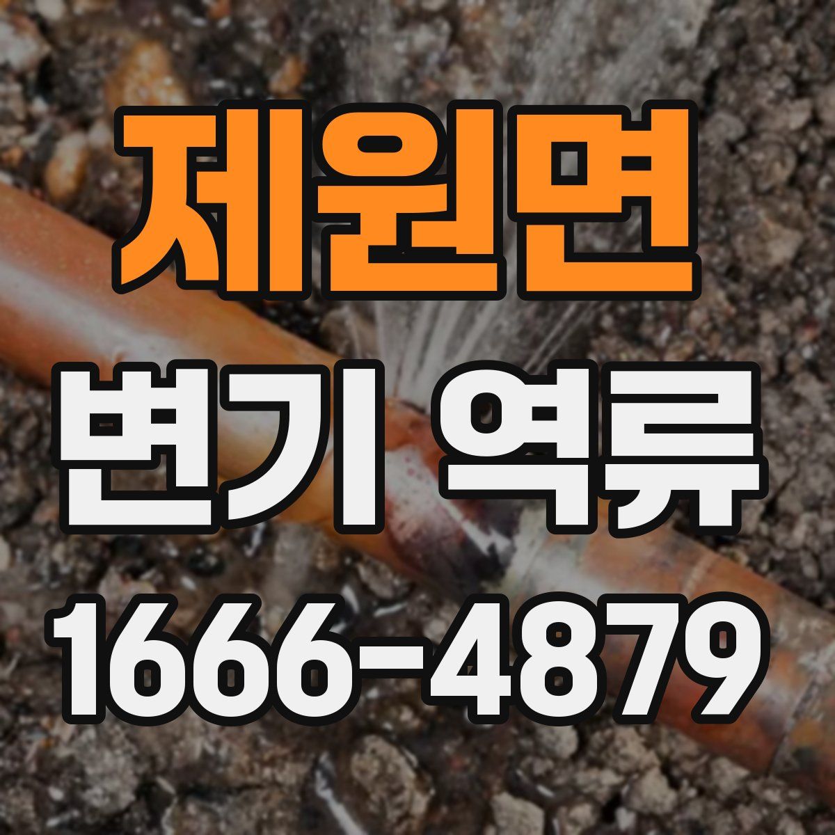 제원면 변기 역류