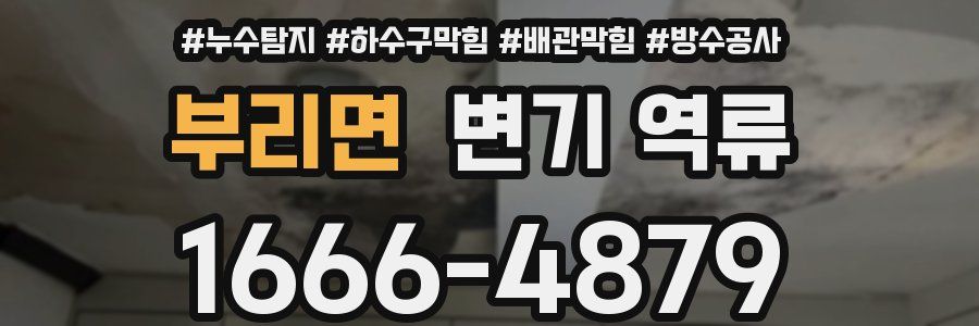 부리면 변기 역류