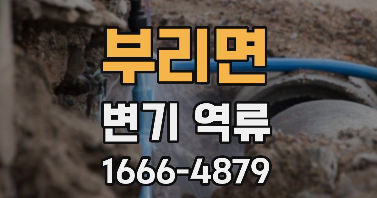 부리면 변기 역류