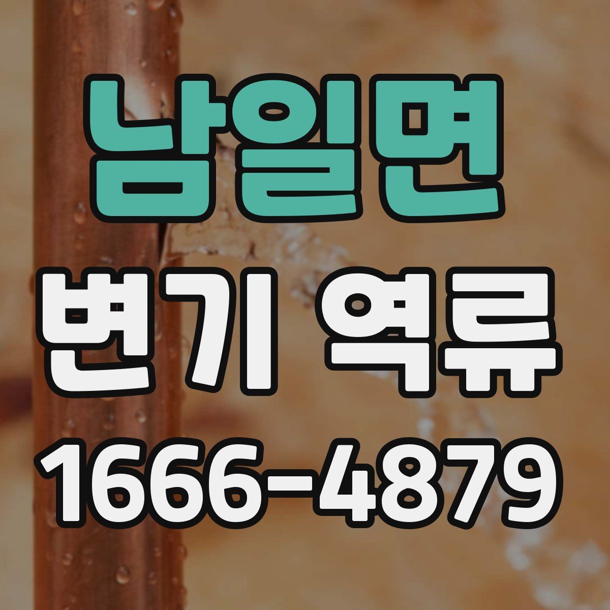 남일면 변기 역류