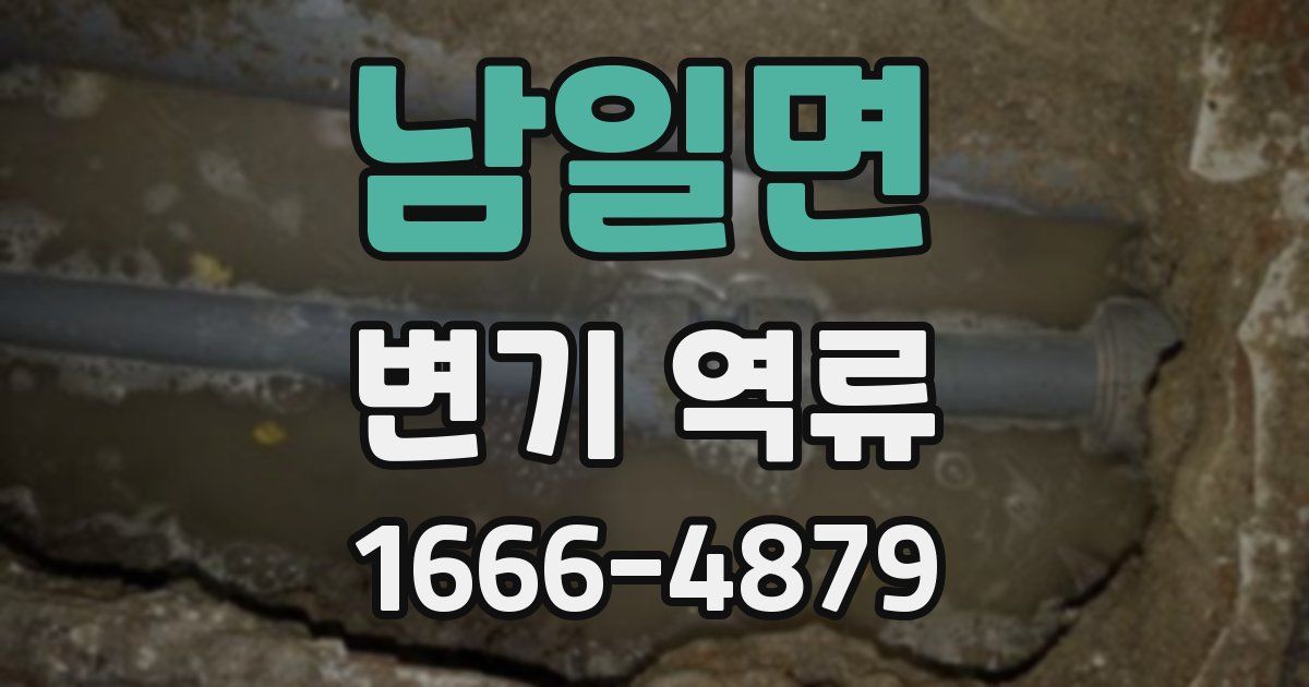 남일면 변기 역류