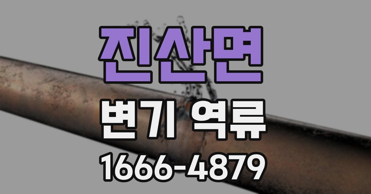 진산면 변기 역류