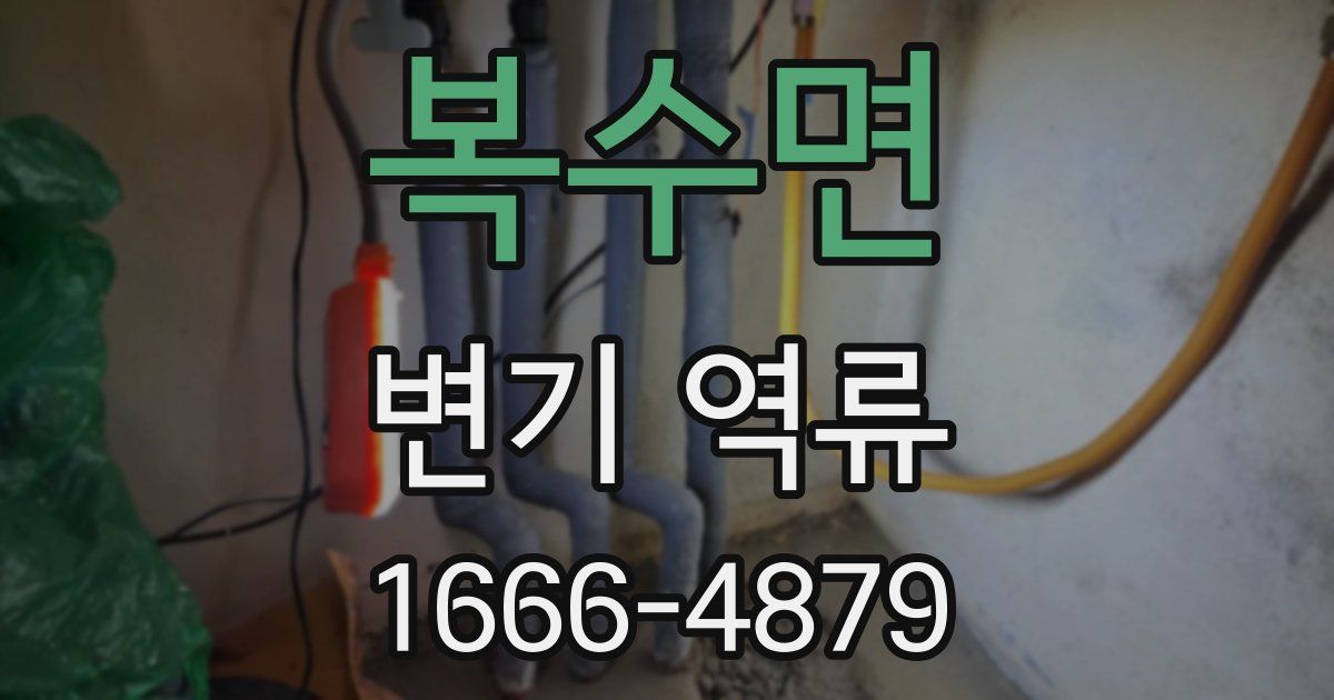 복수면 변기 역류