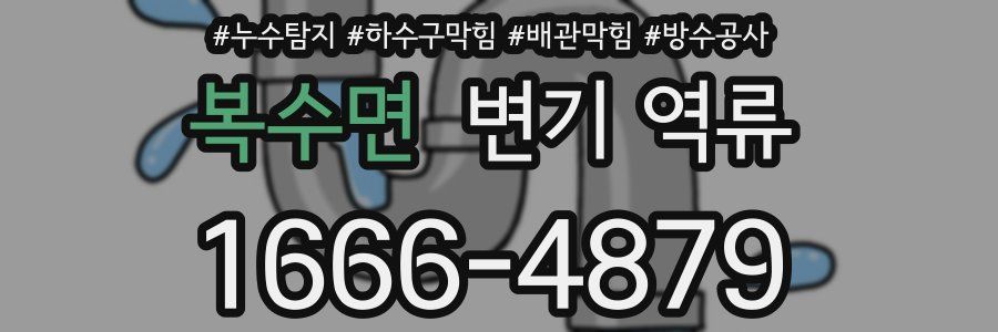 복수면 변기 역류