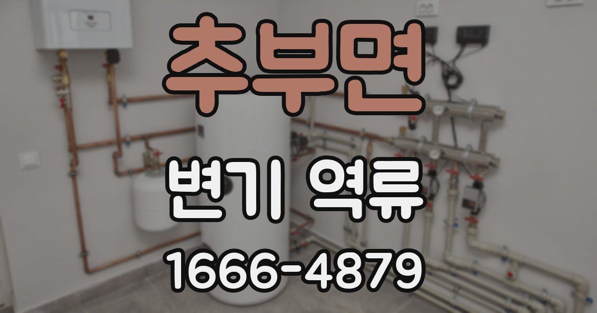 추부면 변기 역류