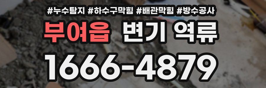 부여읍 변기 역류