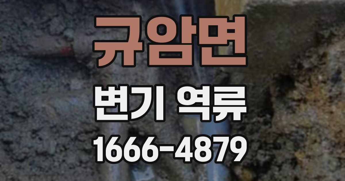 규암면 변기 역류