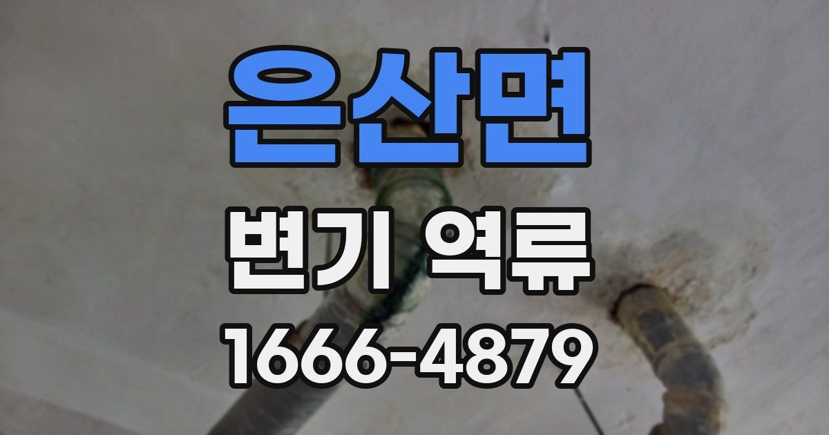 은산면 변기 역류