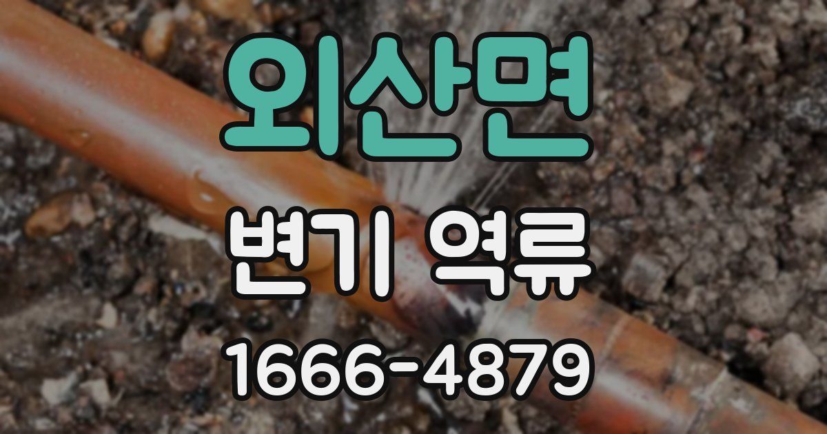 외산면 변기 역류
