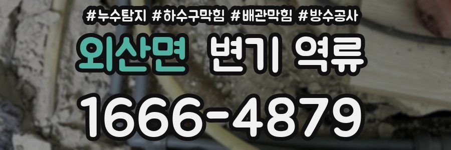 외산면 변기 역류