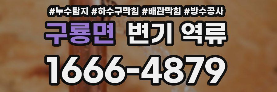 구룡면 변기 역류