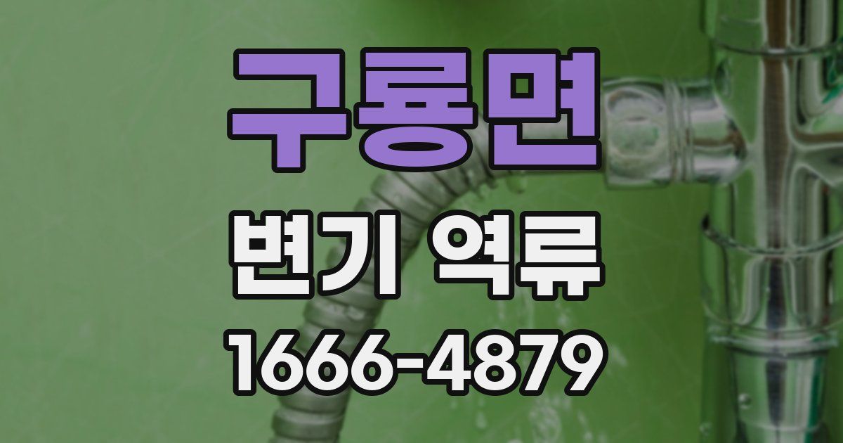구룡면 변기 역류