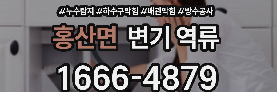 홍산면 변기 역류