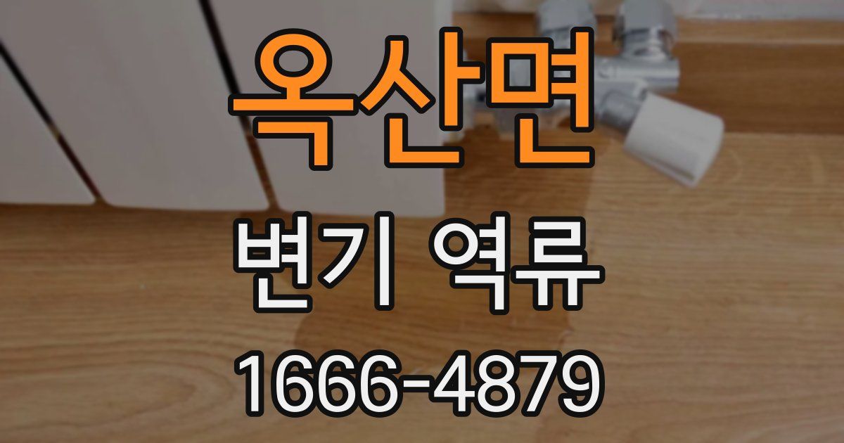 옥산면 변기 역류