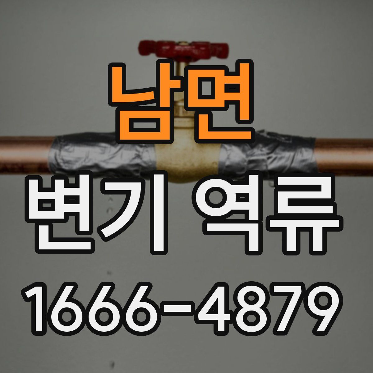 남면 변기 역류