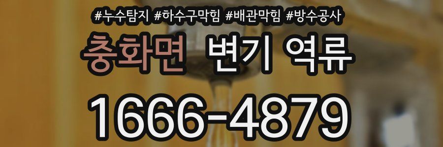 충화면 변기 역류
