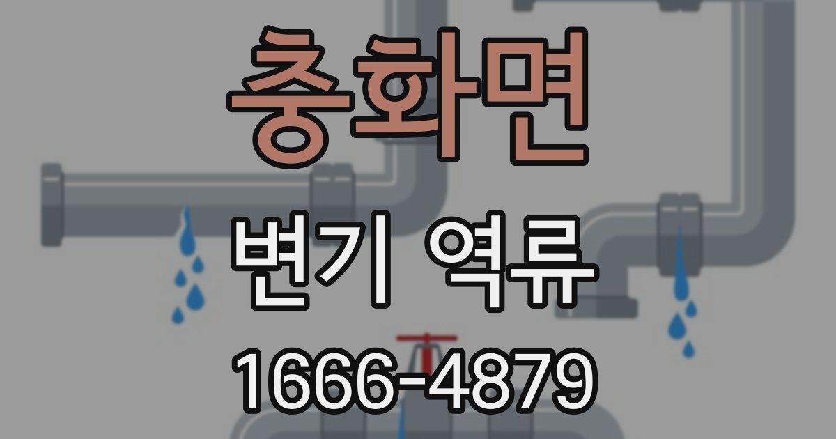 충화면 변기 역류
