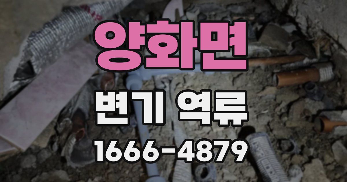 양화면 변기 역류