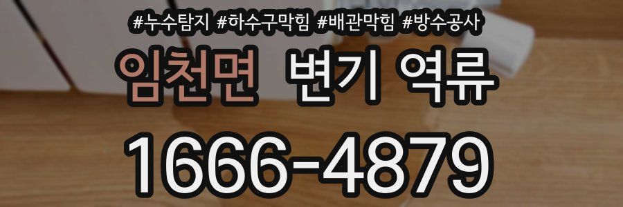 임천면 변기 역류