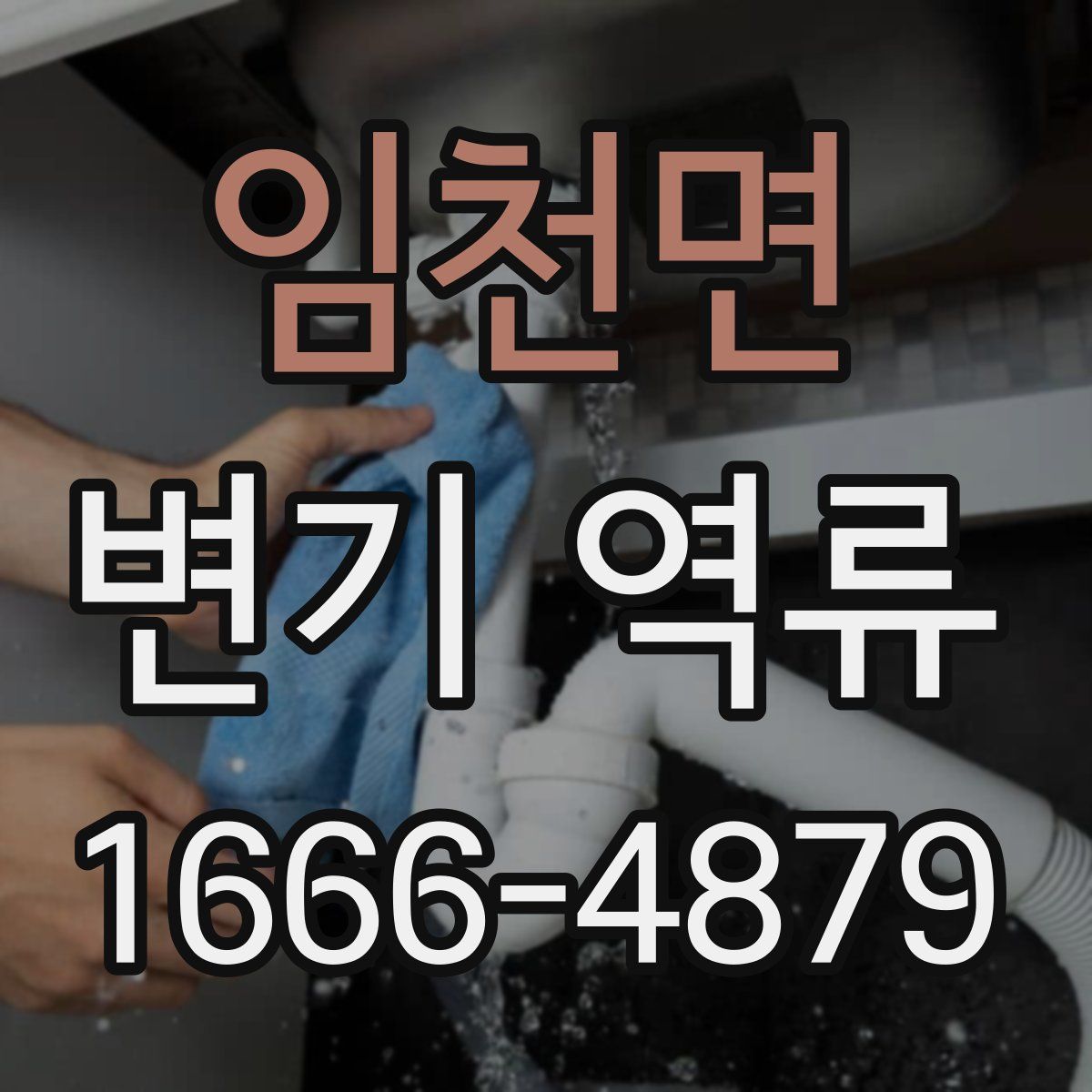 임천면 변기 역류