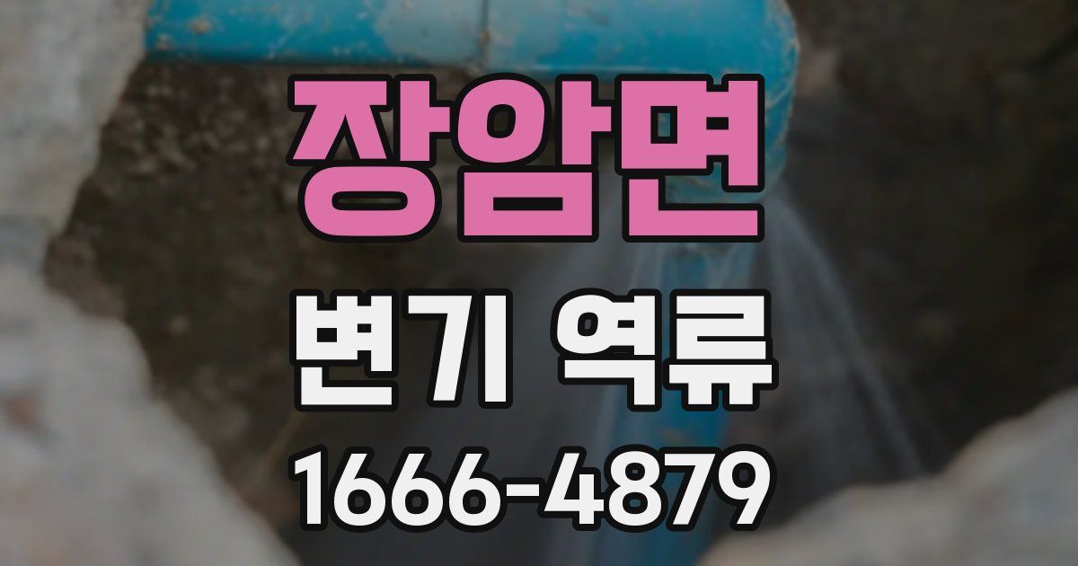 장암면 변기 역류
