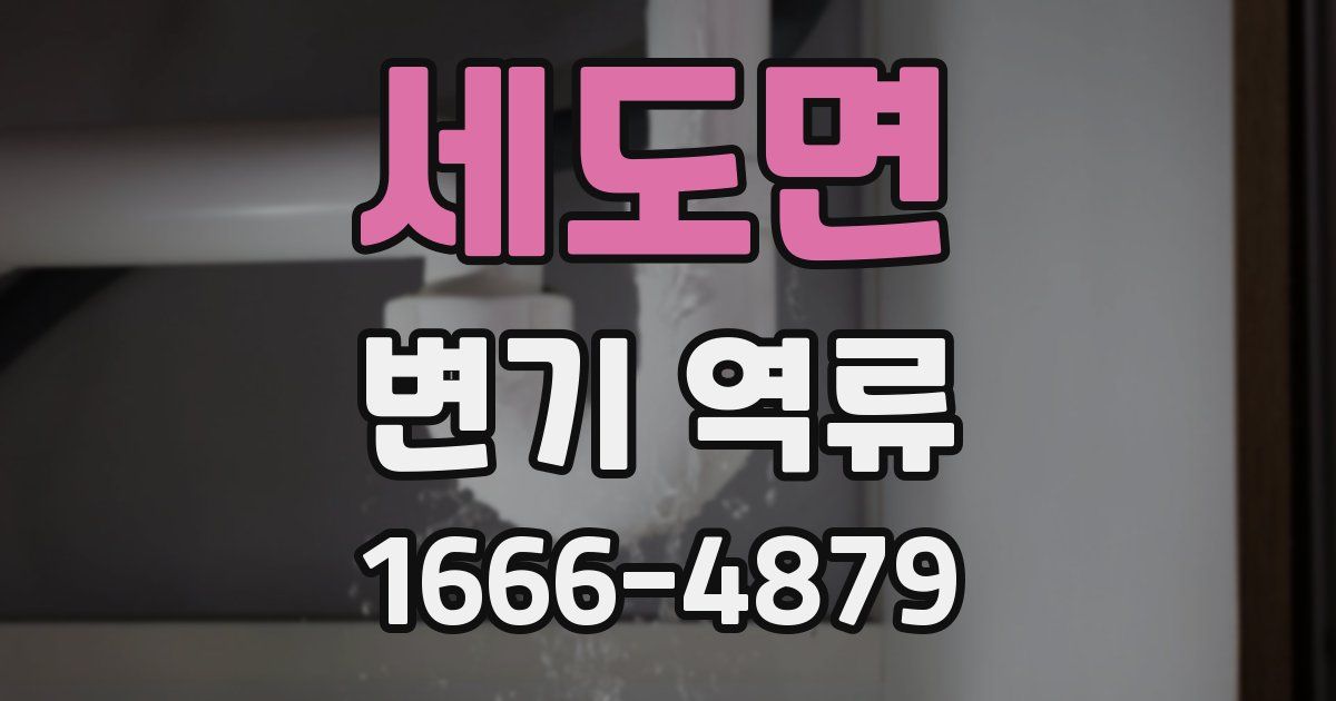 세도면 변기 역류