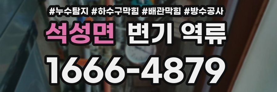 석성면 변기 역류