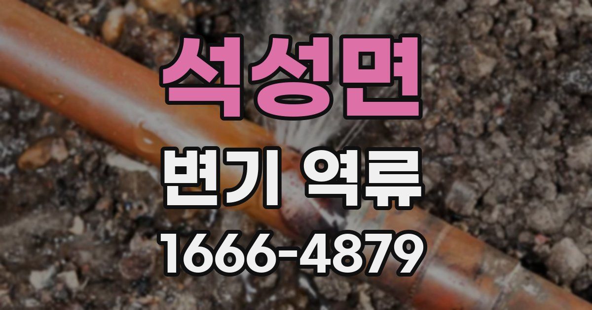 석성면 변기 역류