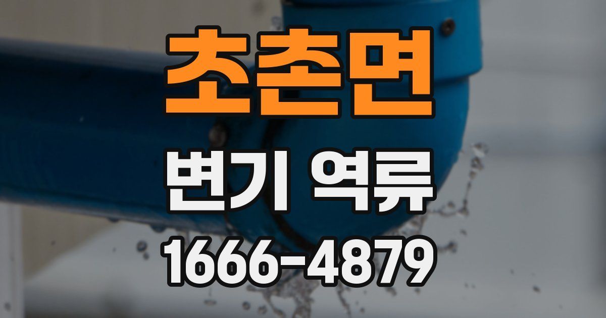 초촌면 변기 역류
