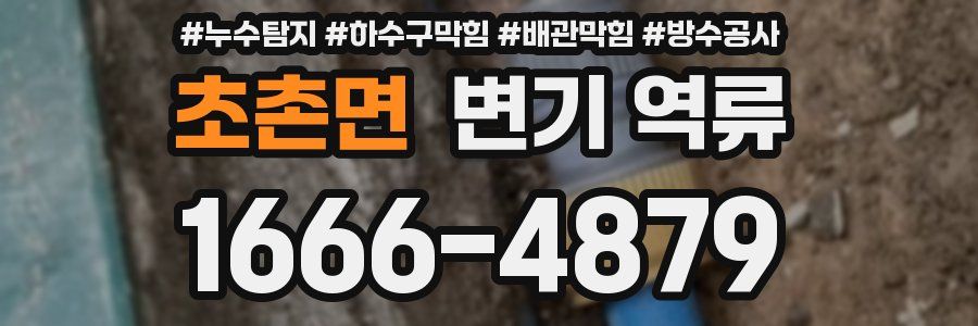 초촌면 변기 역류