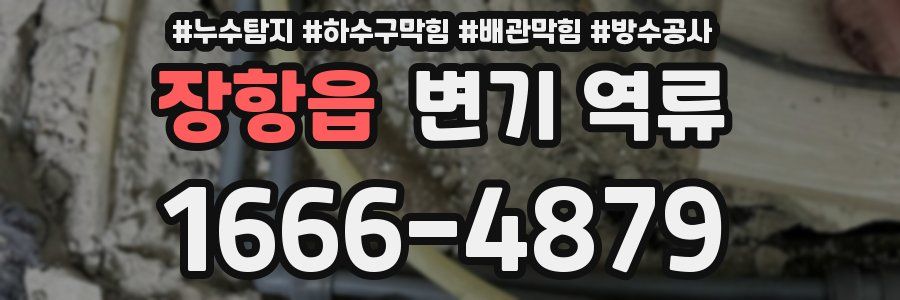 장항읍 변기 역류
