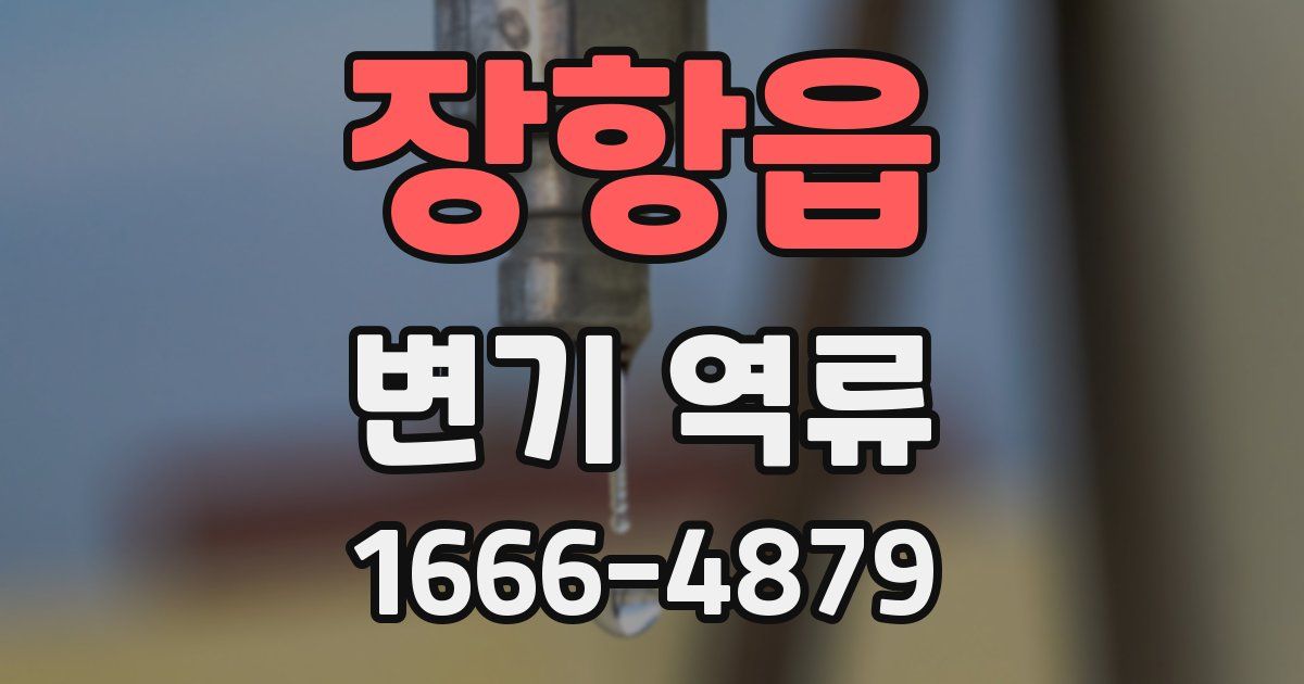 장항읍 변기 역류