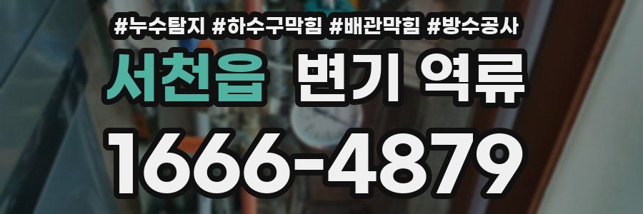 서천읍 변기 역류