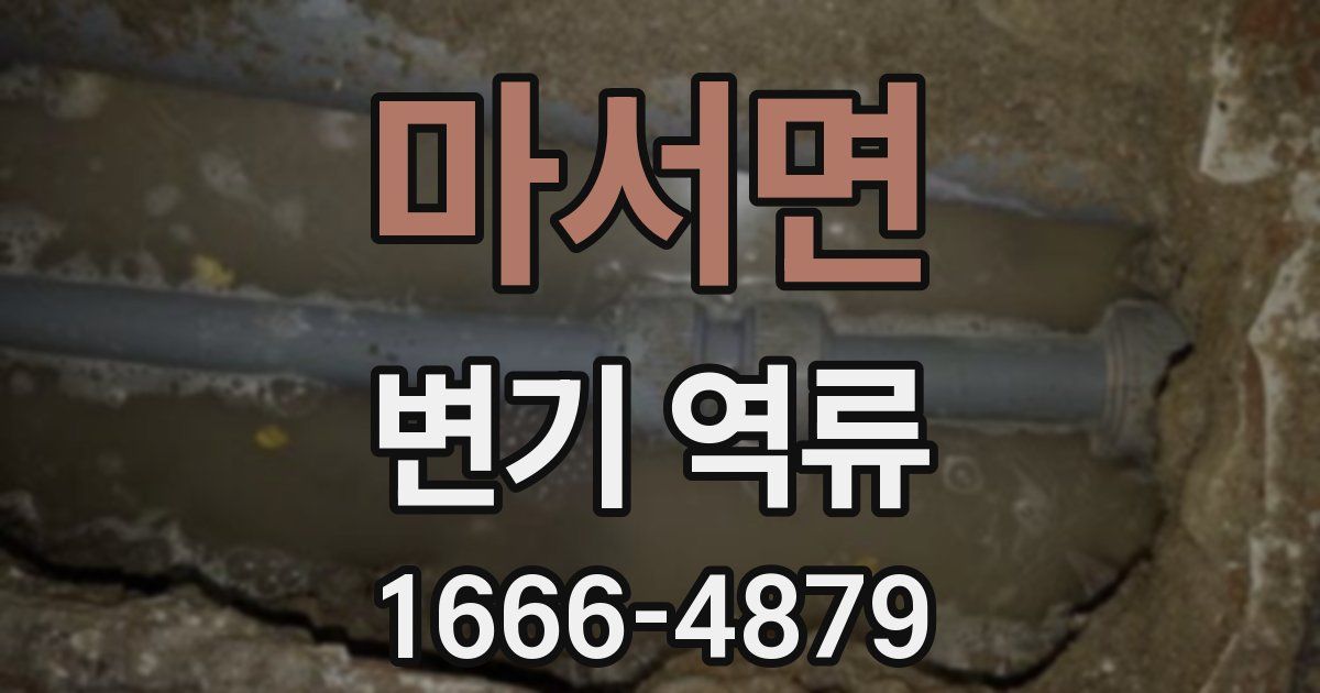 마서면 변기 역류