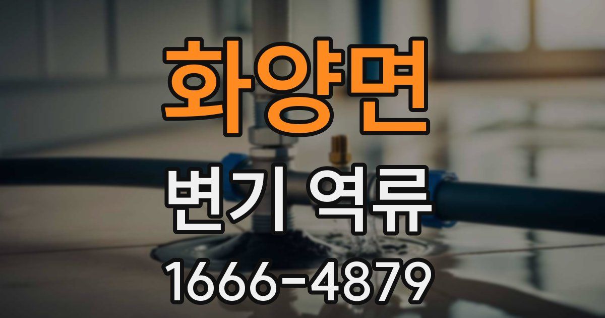 화양면 변기 역류