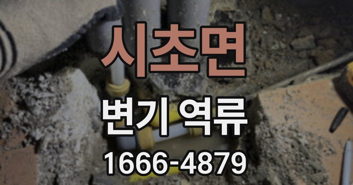 시초면 변기 역류