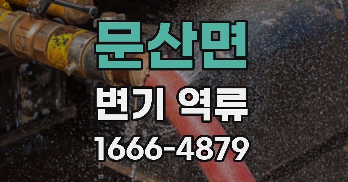 문산면 변기 역류