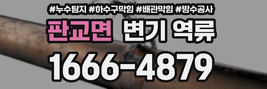 판교면 변기 역류